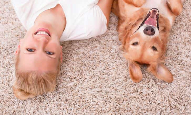 Carpet Cleaning Company Colorado SPrings